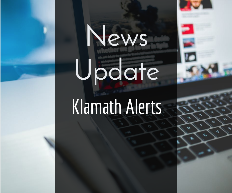 New Watch For Wildlife Plates Will Benefit Animal Crossing Projects