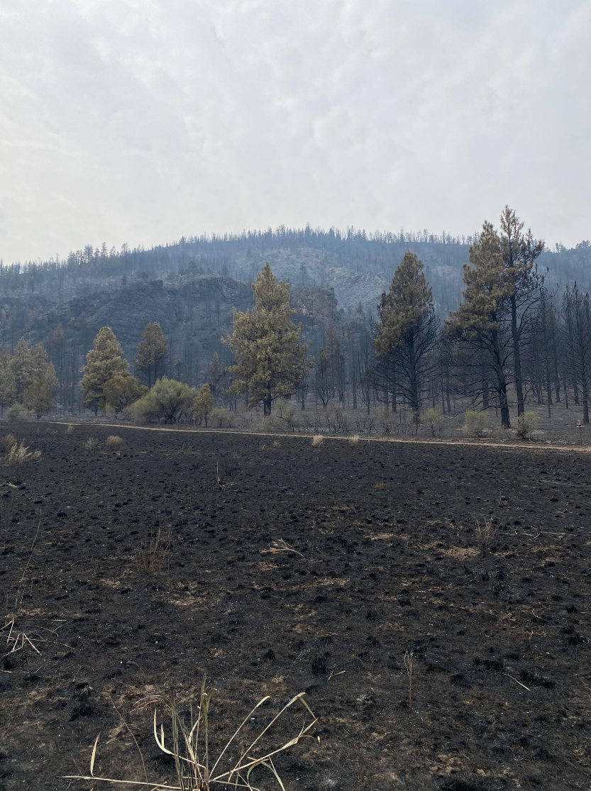 Morning Update Van Meter Fire 9/13 Klamath Alerts